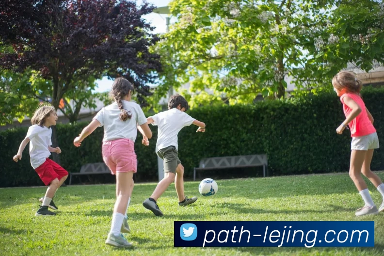 多媒体互动体验